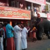 Fotos Kerala Nov-Dez 2011 teil 2 425.jpg